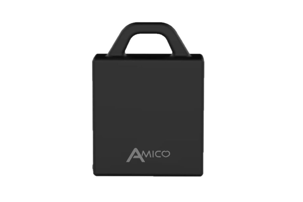 Ambrogio Amico